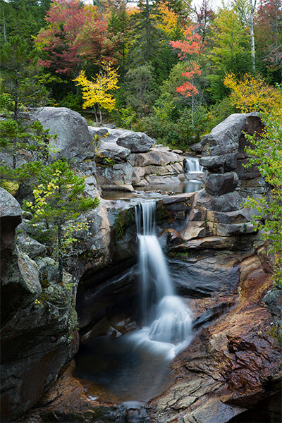 Spring means it's time to start surveying Maine streams - Maine