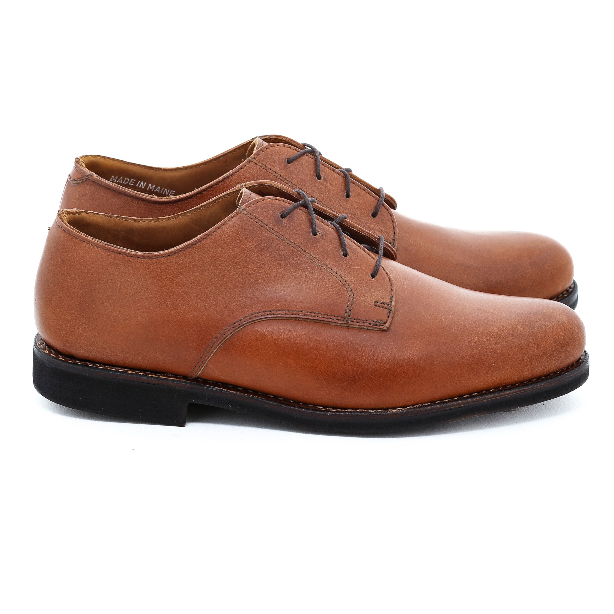 Dirigo Blucher - Tan Labrador