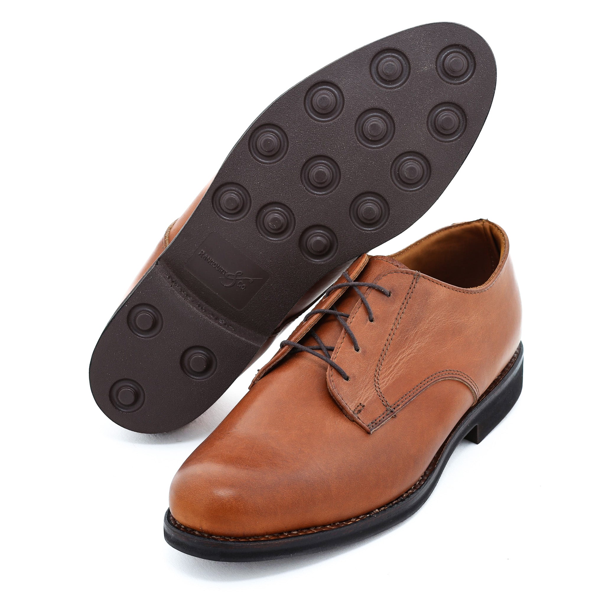 Dirigo Blucher - Tan Labrador