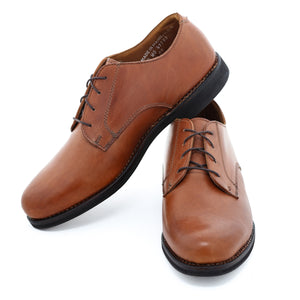 Dirigo Blucher - Tan Labrador