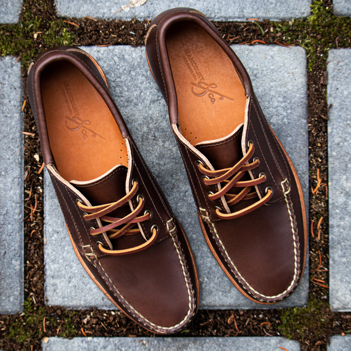 Pre-Order Baxter Ranger  Moc - Heritage Brown